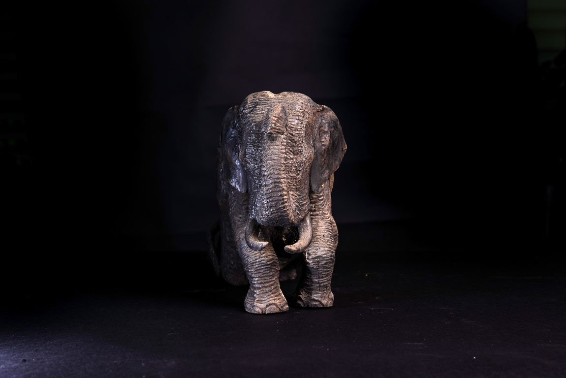 Jinsiy aloqada qizarish paytida noqulaylik Qizlarning mushuklarining havaskor fotosuratlari